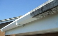 Fascias